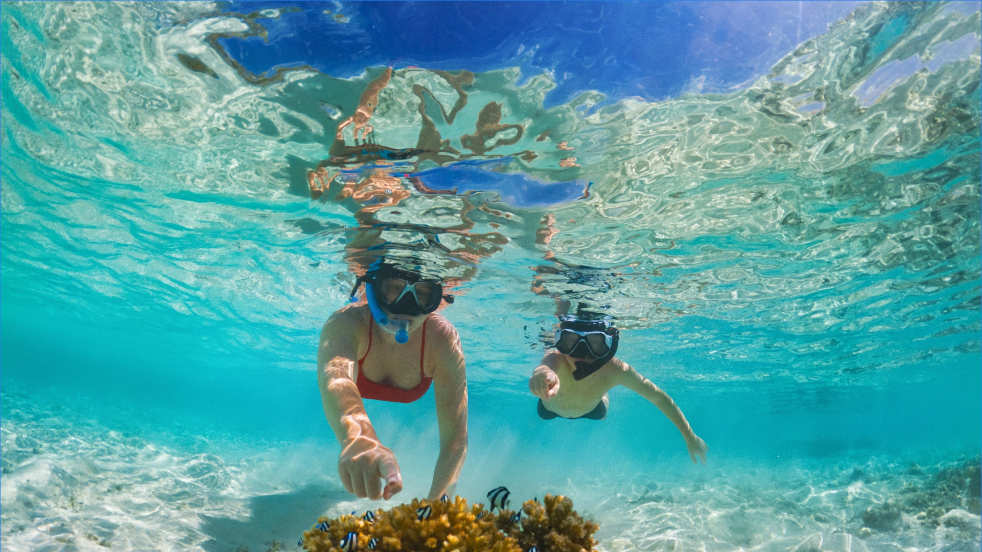 Snorkel en aguas cristalinas de México — reserva tu tour online
